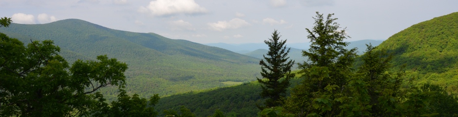 View of the Catskill Mountains in Greene County